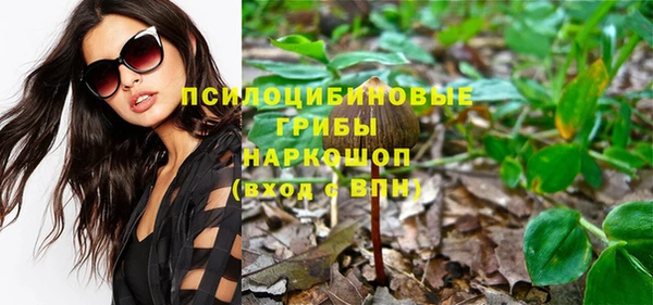 apvp Зеленодольск