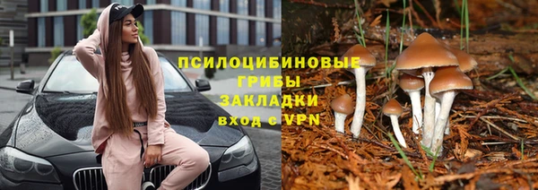 дмт Зеленокумск