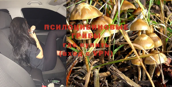 apvp Зерноград